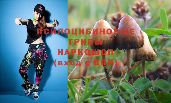 метадон Алексеевка