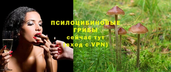 каннабис Алзамай